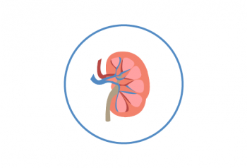 Kidney Function Monitoring and Alerts