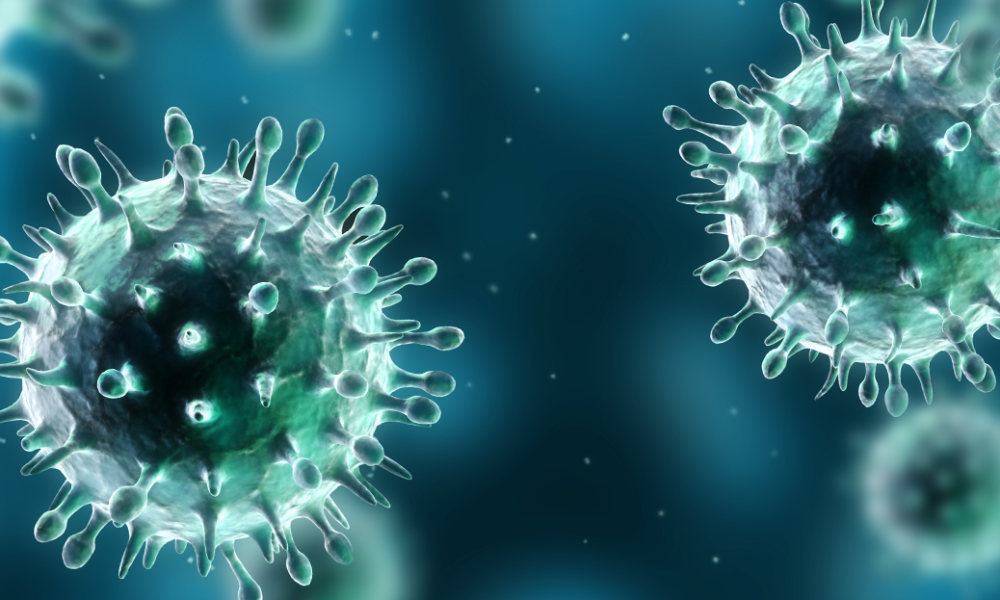 Momo OneClick Now with Filtering, Alerting, Virology Support, and FHIR Integration