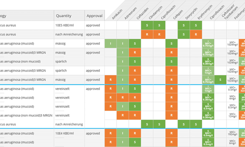 Major Update to Momo OneClick: Faster, Modernized, and FHIR-Ready