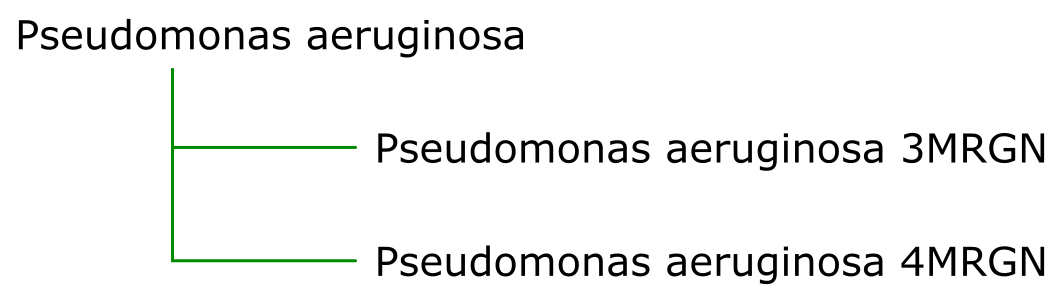 spectrum-parameter-selection-p-aeruginosa